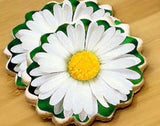 Daisy - White or Blue