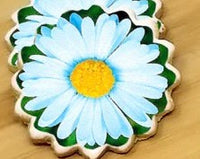 Daisy - White or Blue